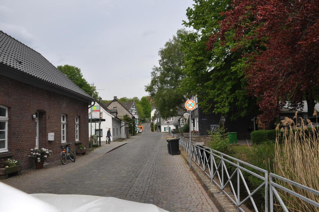 Sterner Obgruiten Haan Bagian luar foto