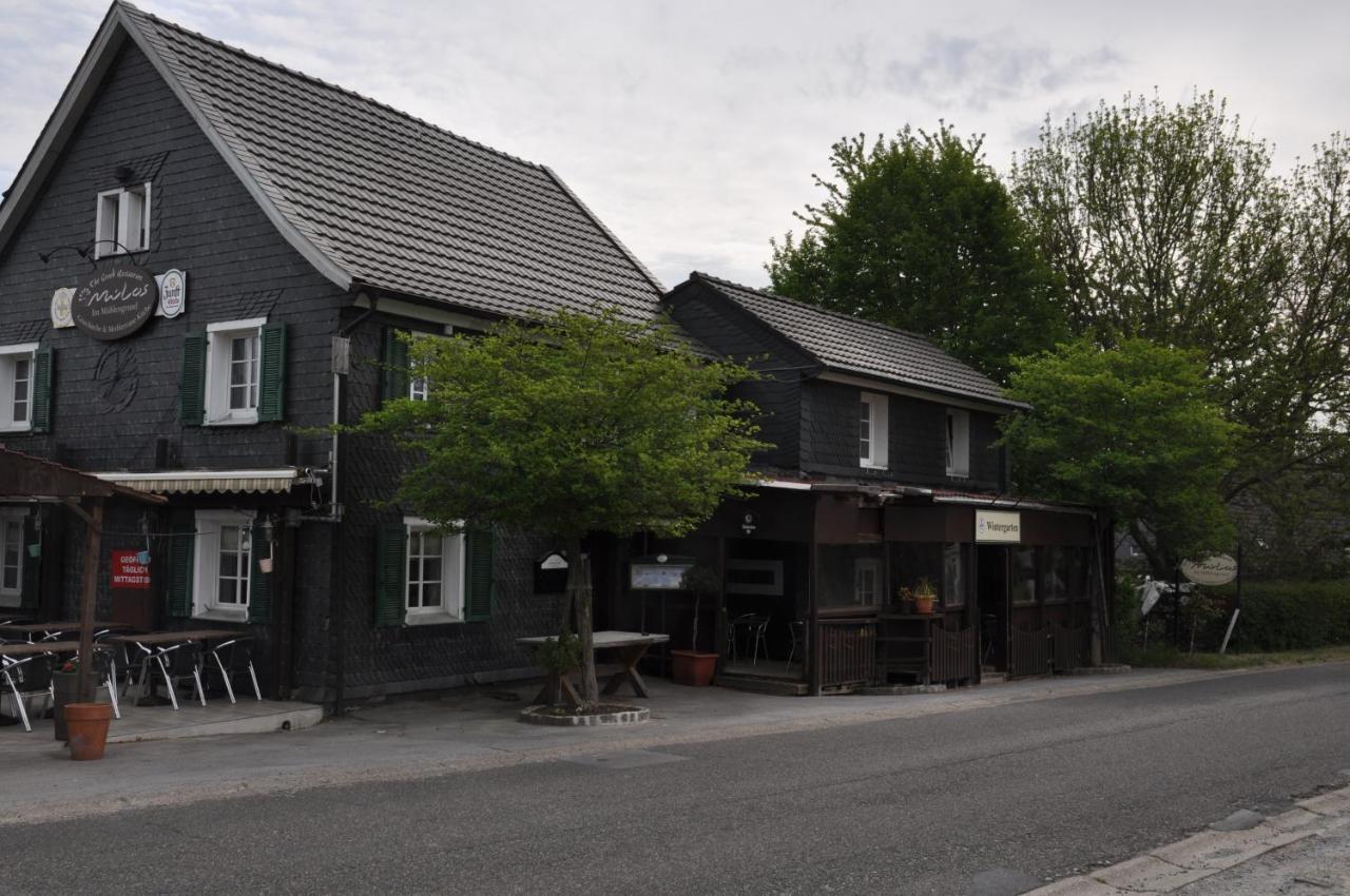 Sterner Obgruiten Haan Bagian luar foto